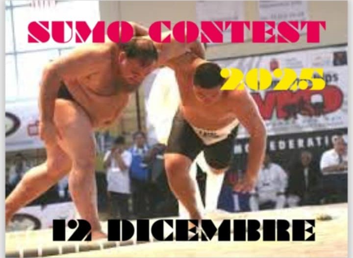 Torneo di natale di sumo